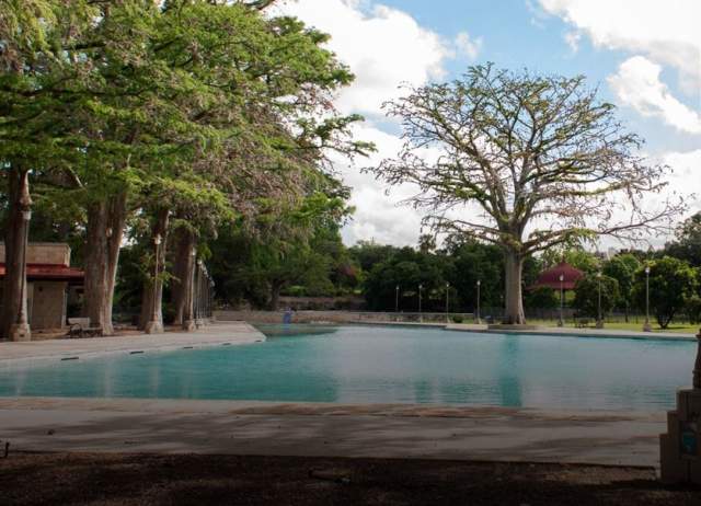 Park with trees and swimming pool