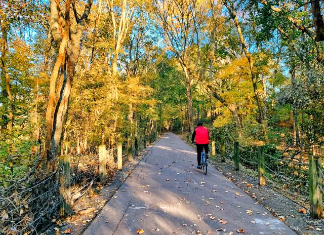 The Ultimate Fall Travel Bucket List in Clarksville, TN
