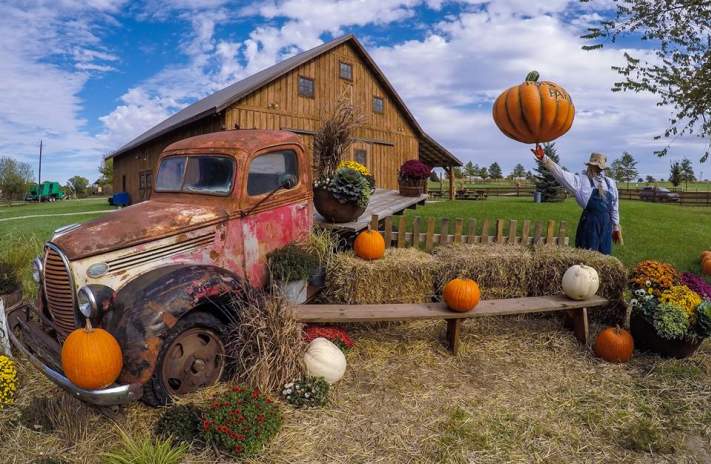Roca Berry Farm - Fall