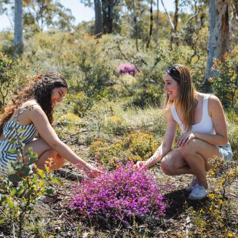 Two girls amongst wildflowers near Toodyay in the Avon Valley