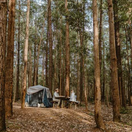 Dwellingup Camping