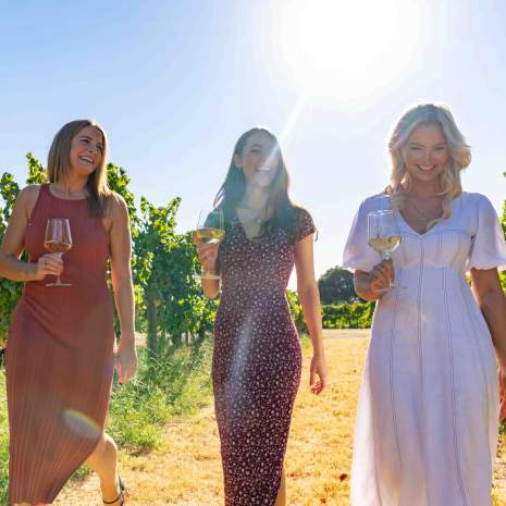 Sealink - Swan Valley Wine Cruise