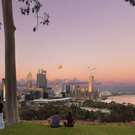Kings Park Sunset