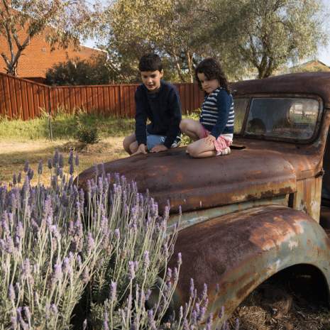 Kids with lavender on old truck in Beverley