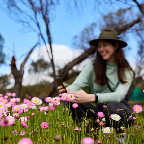 Photos of wildflowers in the Avon Valley