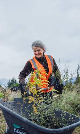 A woman with a wheelbarrow at a tree planting event