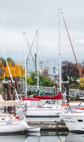 Sailboats resting in Nanaimo’s marina on a calm day, framed by colourful autumn trees and a grey coastal sky.