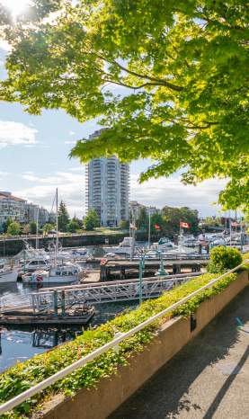 A sunny view of Nanaimo Harbour with boats in the marina, waterfront buildings in the distance, and a tree-lined walkway overlooking the water.