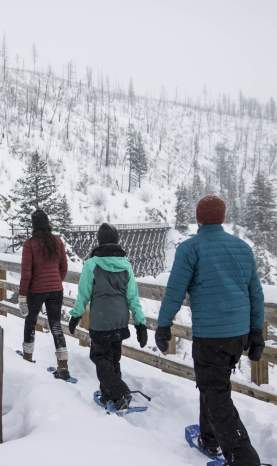 Hiking or snowshoeing through the Myra Canyon Trestles in Kelowna, BC is a magical experience.