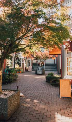 A tree-lined courtyard with brick paving, boutique storefronts, and soft autumn light filtering through the leaves.
