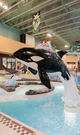 Inside of the Nanaimo Aquatic Centre pool, showing a statue of an orca jumping out of the water