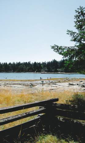 A rocky beach at low tide with people walking along the shoreline and a forested island across the water.