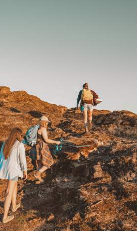 Three women and a dog hike to the top of sugarloaf
