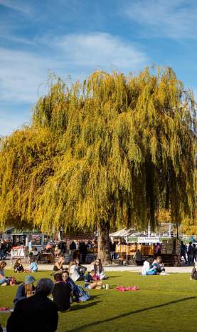 Earnslaw Park in Autumn with friends relaxing on the green