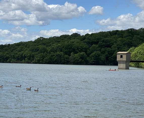 Wyandotte County Lake kayak