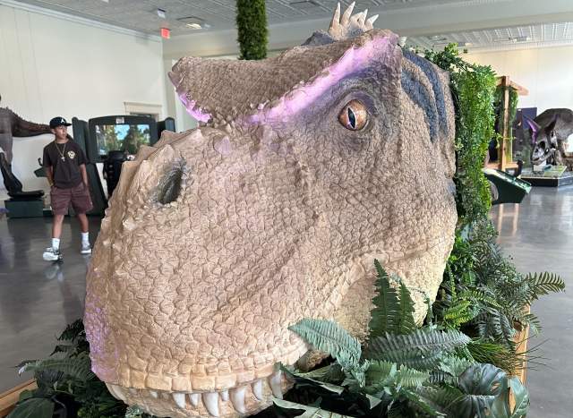 Dinosaur head in Be The Dinosaur exhibit in Grapevine, Texas