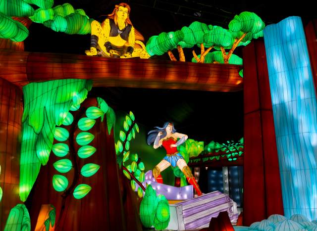Image of Universe of Light DC exhibit at Gaylord Texan Resort