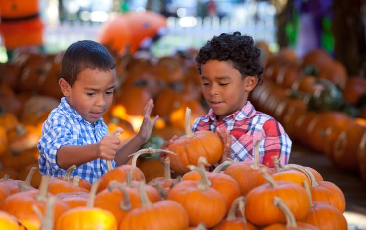 Celebration Town Center falling leaves kids pumpkins