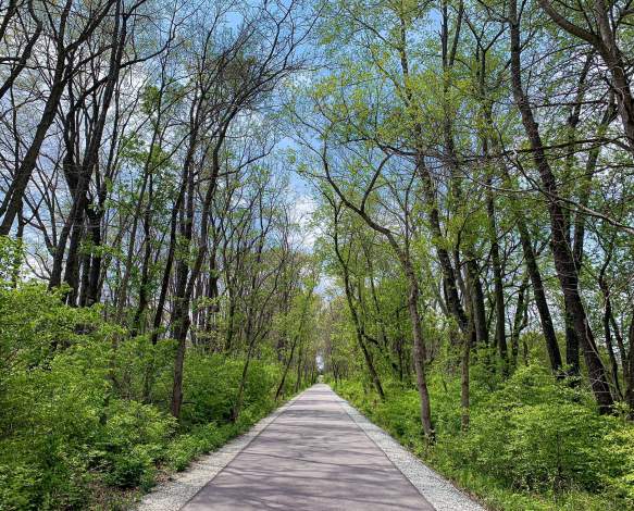 Limestone Greenway during spring