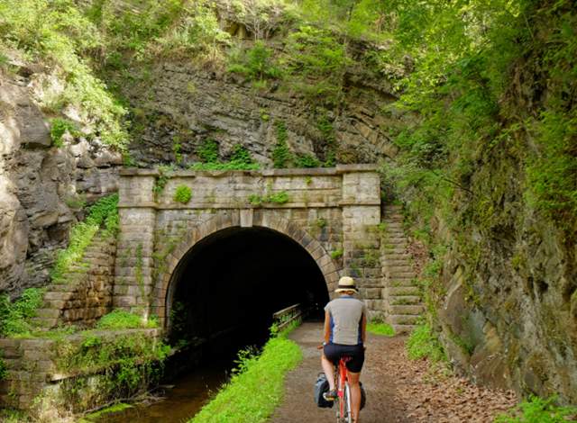 Activity 2: Parts of a Tree - Chesapeake & Ohio Canal National