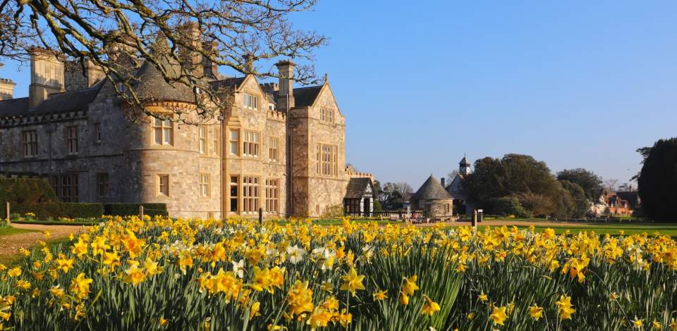 Beaulieu museum grounds spring daffodils in bloom