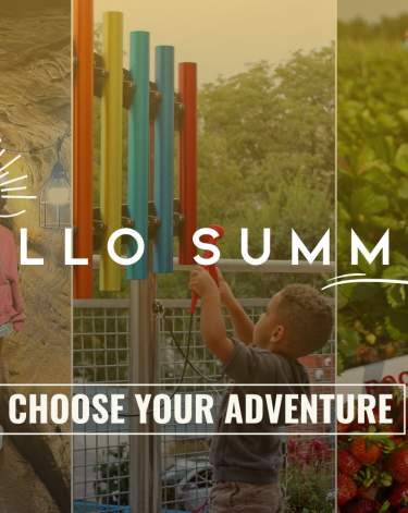 Summer Pass Header (larger)