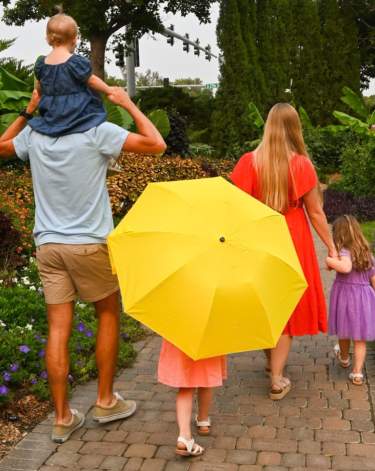 Family - Header