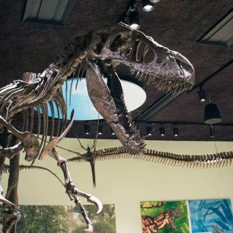 Delaware Museum of Nature & Science