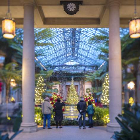 A Longwood Christmas