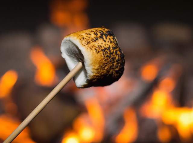 Camping in New York State page