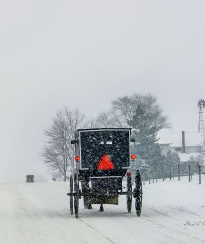 Amish Buggy in Snow Storm Shipshewana