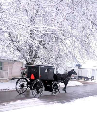 Shipshewana Buggy Winter