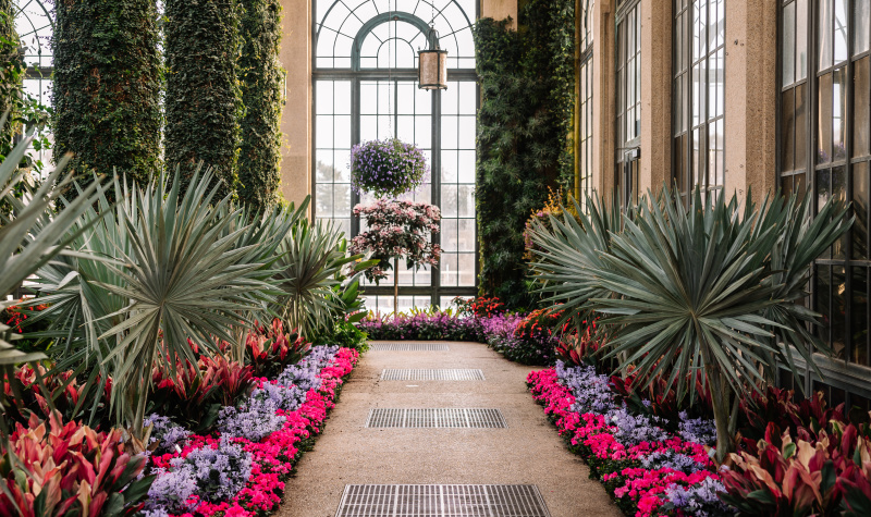 Winter Wonder Conservatory 2024