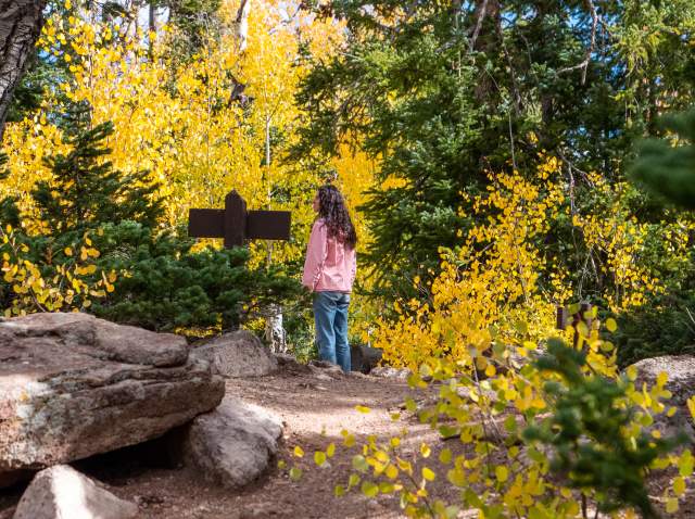 The Best Fall Hikes Near Cedar City