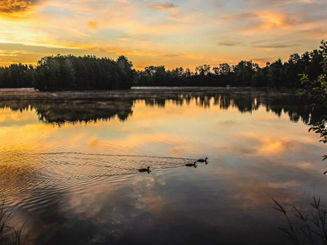 Get outside and explore the Schmeeckle Reserve.