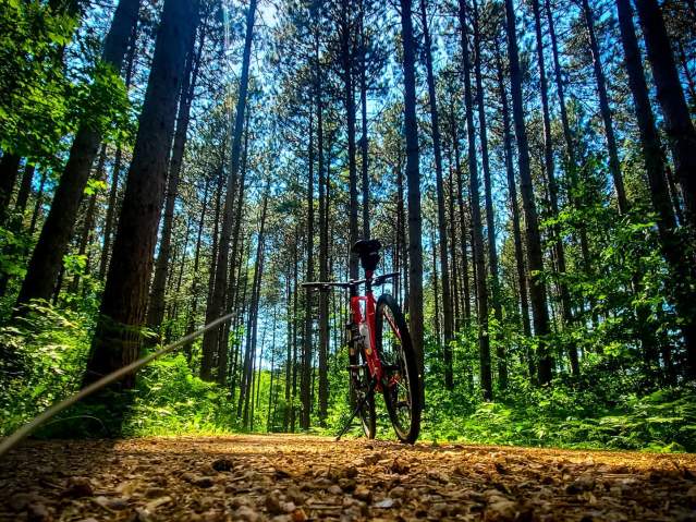 bike on green circle trail