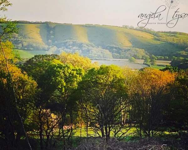 South Downs view