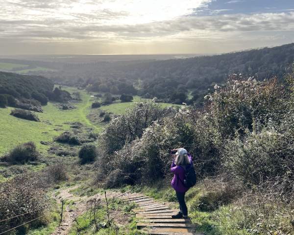 Kingley Vale