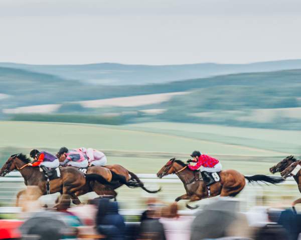 Horseracing at Goodwood