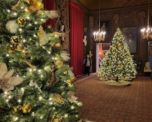 Christmas trees at Petworth House