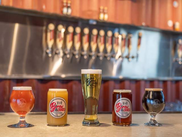 201380 - Brewlando Brewing