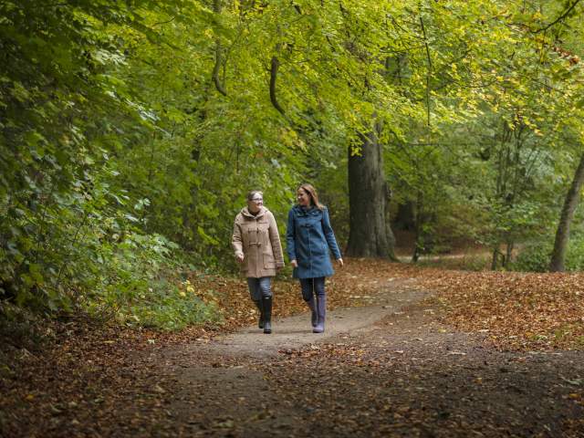 Two people walk through a woodland in the Lincolnshire Wolds with fallen autumnal leaves surrounding them.