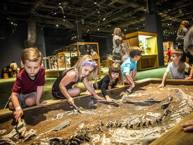Orlando Science Center Kids at fossil dig
