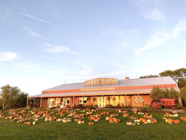 Abbey Farms - Pumpkin Patch