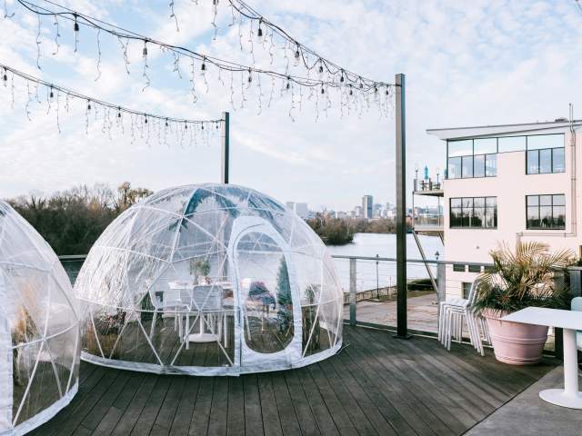 Island Shrimp Co - Igloos