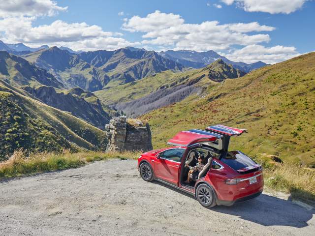Tesla private tour, Nomad Safaris