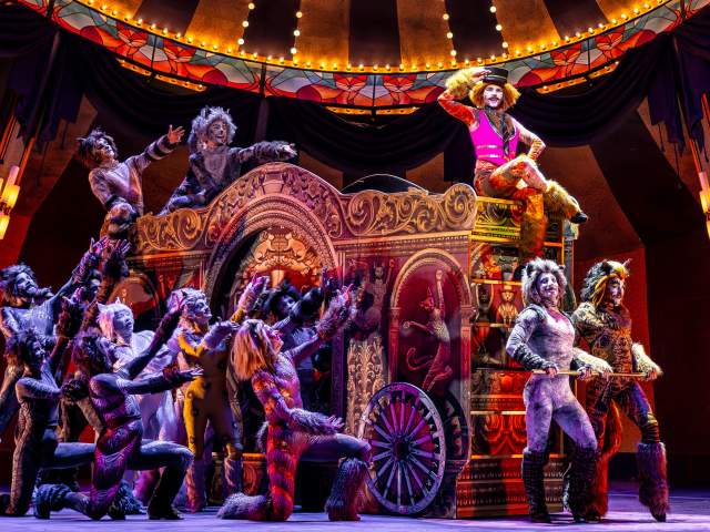 Paramount Theatre Cats