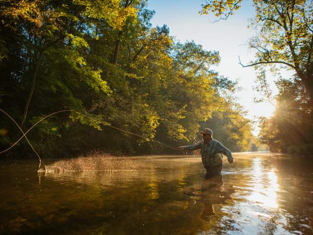Man Fly-Fishing at Yellow Breeches Creek in Cumberland Valley