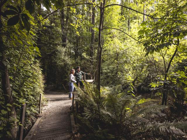 Two people surrounded by native bush at the kiwi park