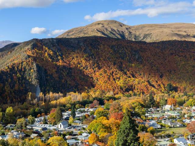 Arrowtown Scenic From Above